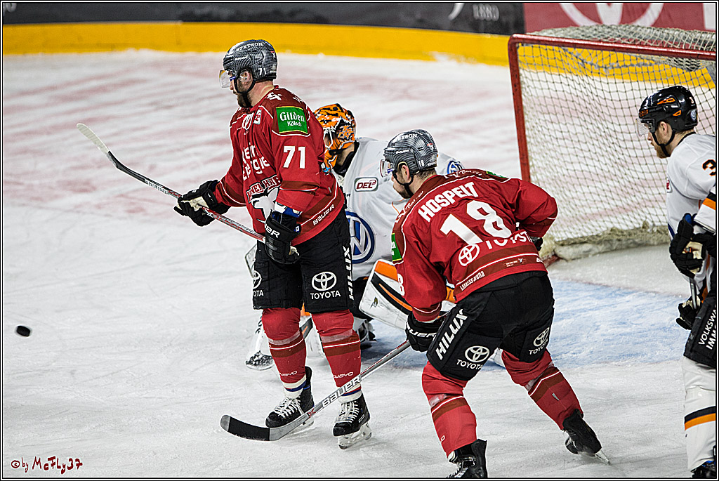 DEL, Koelner Haie - Grizzlys Wolfsburg, 17.03.2017